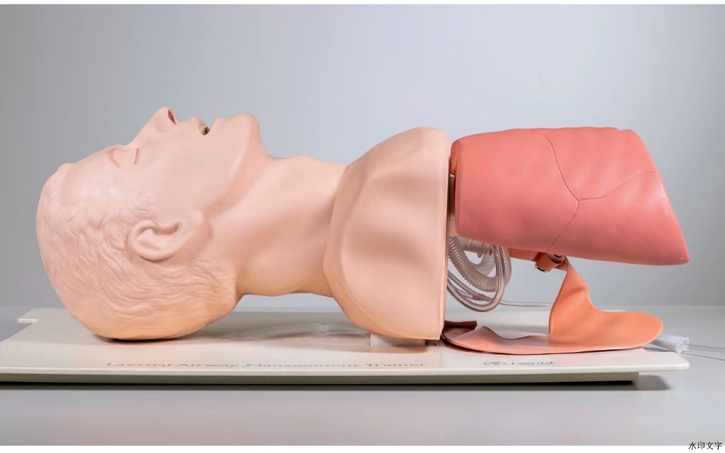 cd81200698664e449c023c7e71e733b2.png cd81200698664e449c023c7e71e733b2.png