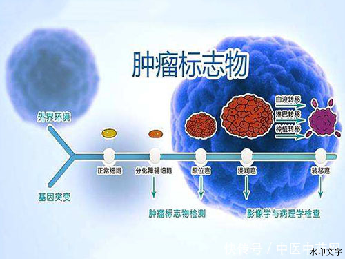 215e5a8f552e464a86b2475bbcaba24a.png 215e5a8f552e464a86b2475bbcaba24a.png