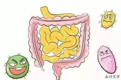 64b193ed05ed4275b29ceeaac5cfcae8.png 64b193ed05ed4275b29ceeaac5cfcae8.png